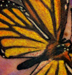 Tattoos - BUTTERPURPLE ! - 23416